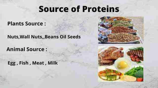 Proteins